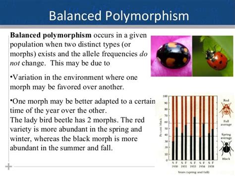 which of the following is an example of balanced polymorphism