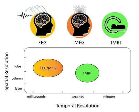 which of the following neuroimaging methods has the best spatial resolution