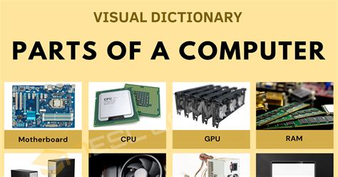 which part of computer science is best