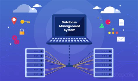 which software is used for database management system