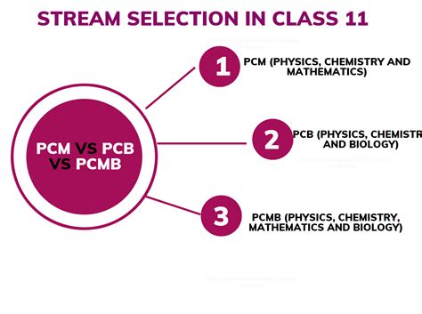 which stream is easy in class 11