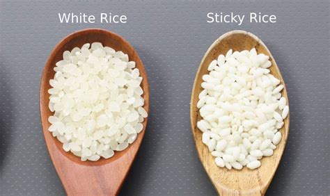 which type of rice is sticky