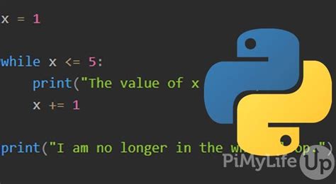 while loop example in python for practice