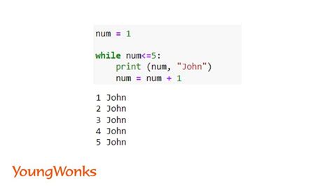 while loop example program in python