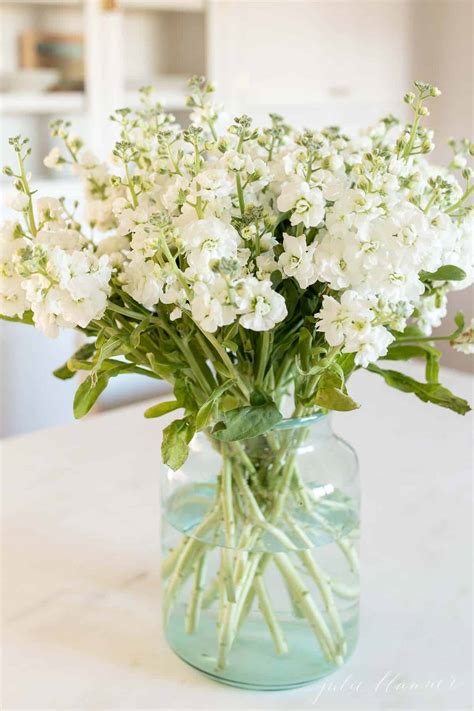 white stock flower cut arrangements