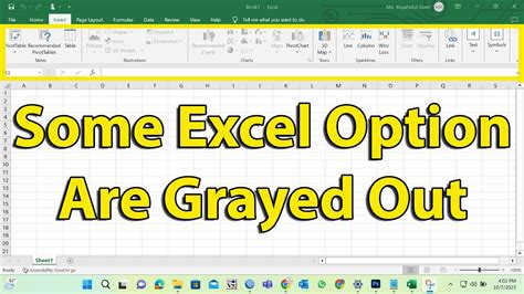 why are options greyed out in excel