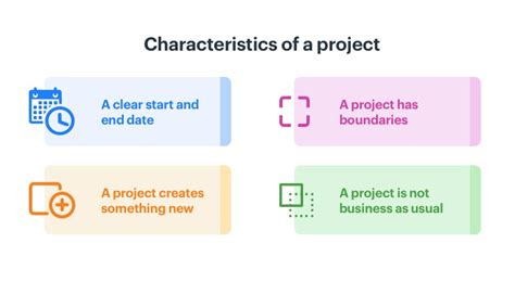 why are the projects called the projects