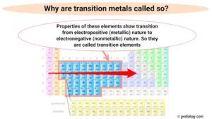 why are transition elements called so