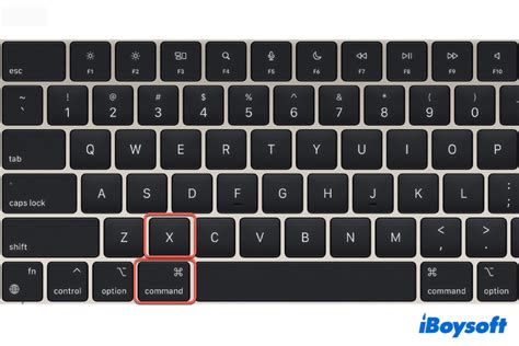 why can't i cut and paste on mac