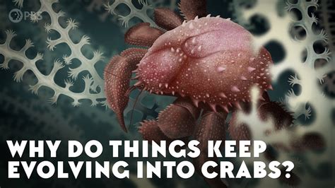 why does everything keep turning into crabs