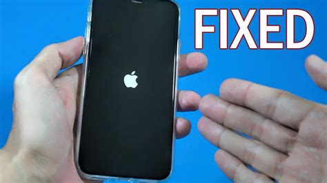 why does my iphone screen keep going black with a loading circle