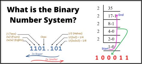 why is binary number system important