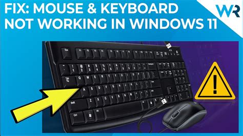why is my keyboard and mouse not connecting to my pc