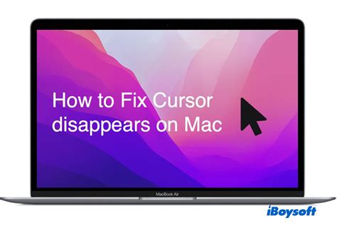 why is my mouse not working on my mac computer
