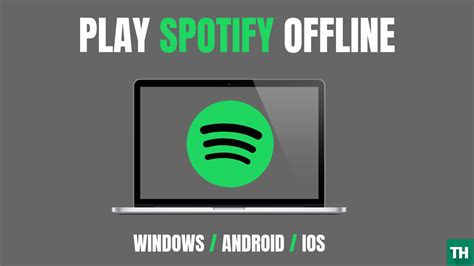 why is my spotify offline even though i have internet
