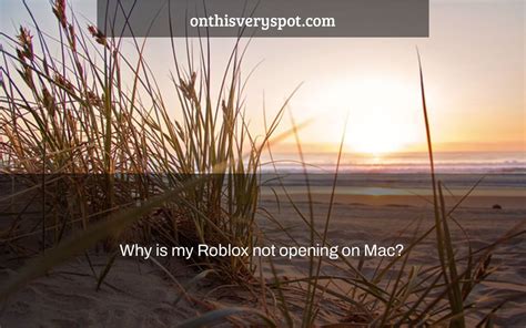why is roblox not opening on my mac