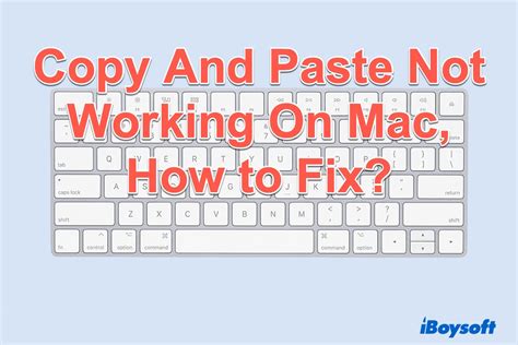 why isn't my copy paste working on mac