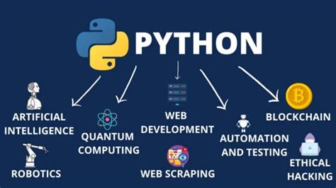 why python is one of the most popular programming languages today