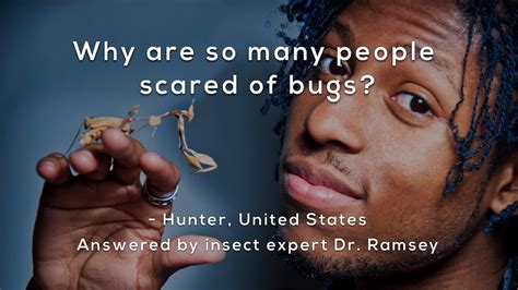 why should i not be scared of bugs
