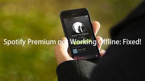 why won't spotify premium work offline
