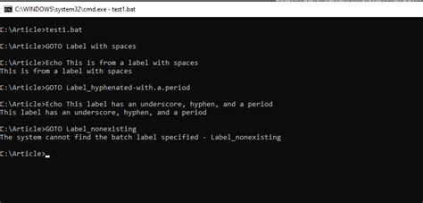 windows batch file goto example