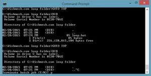 windows batch for loop multiple commands