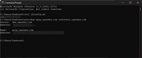 windows command prompt curl multiple lines