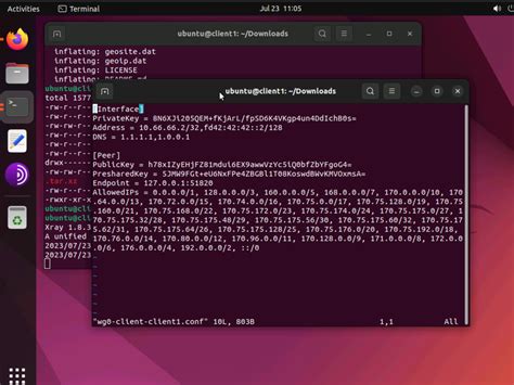wireguard client setup linux