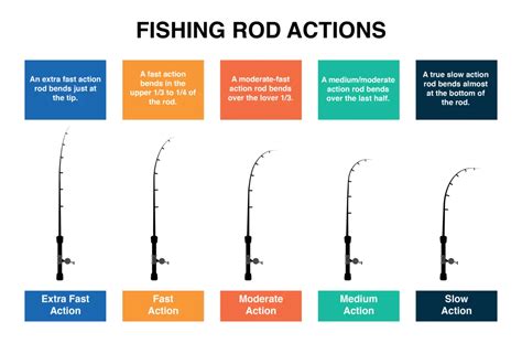 Women Fishing Pole Action Types