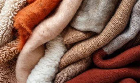 wool jenis