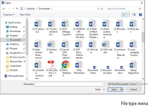 word document file example