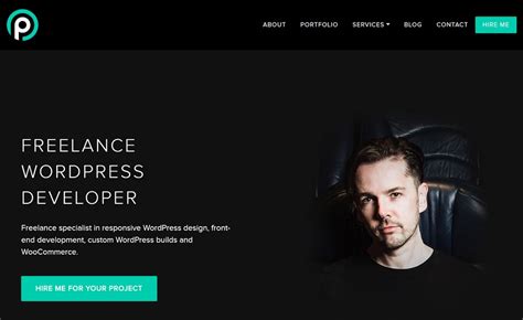 wordpress developer portfolio examples
