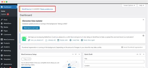 wordpress embed not working