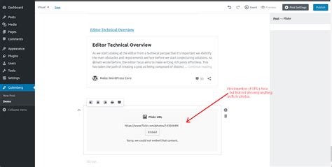 wordpress embed url not working