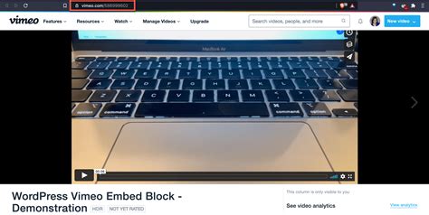 wordpress vimeo embed not working