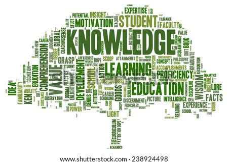 words related to knowledge and learning