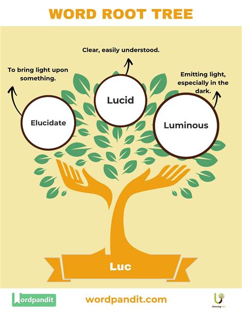 words with luc in them meaning light