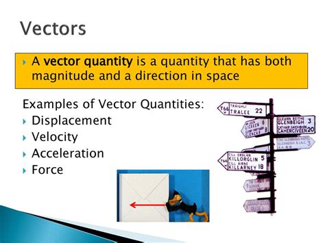 work is a vector quantity or not