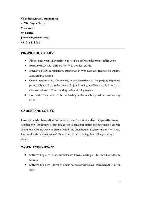 working experience summary sample