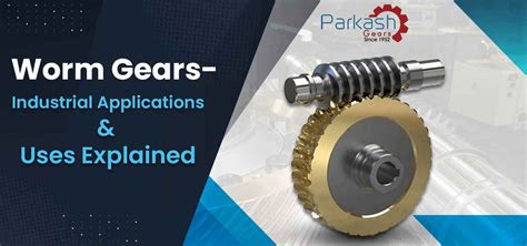 worm gear applications examples