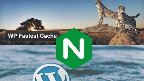 wp fastest cache nginx