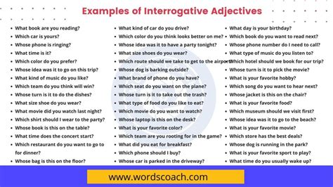 write 10 example of interrogative adjective