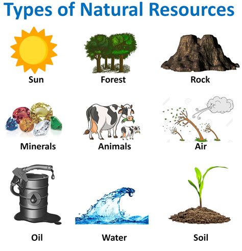 write 3 examples of natural resources