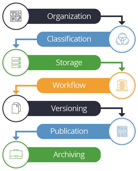 write 5 examples of content management system