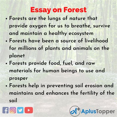write a note on deforestation and the importance of forests