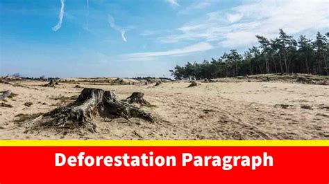 write a paragraph on deforestation