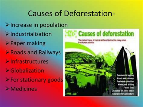 write the causes and consequences of deforestation