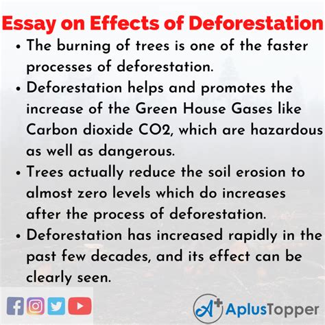 write the causes and effects of deforestation in tamil