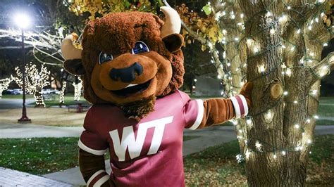 Wtamu Course Catalog