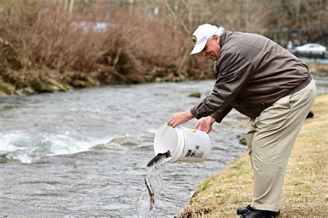 WV DNR Trout Stocking